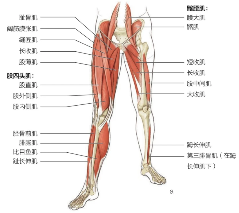 如何制定智能篮球训练计划_0